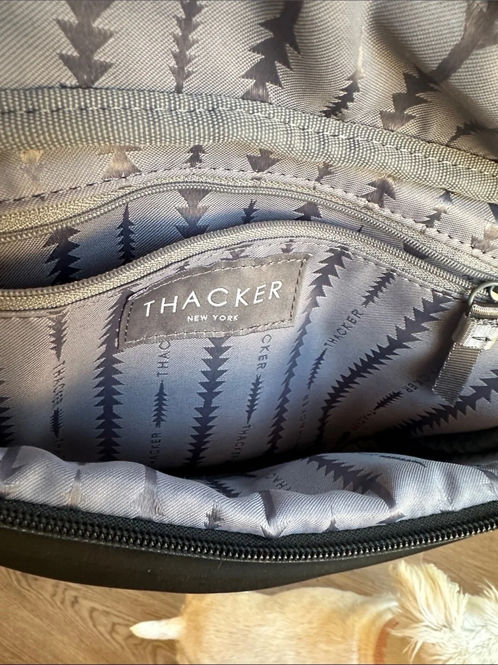 Thacker sleek black